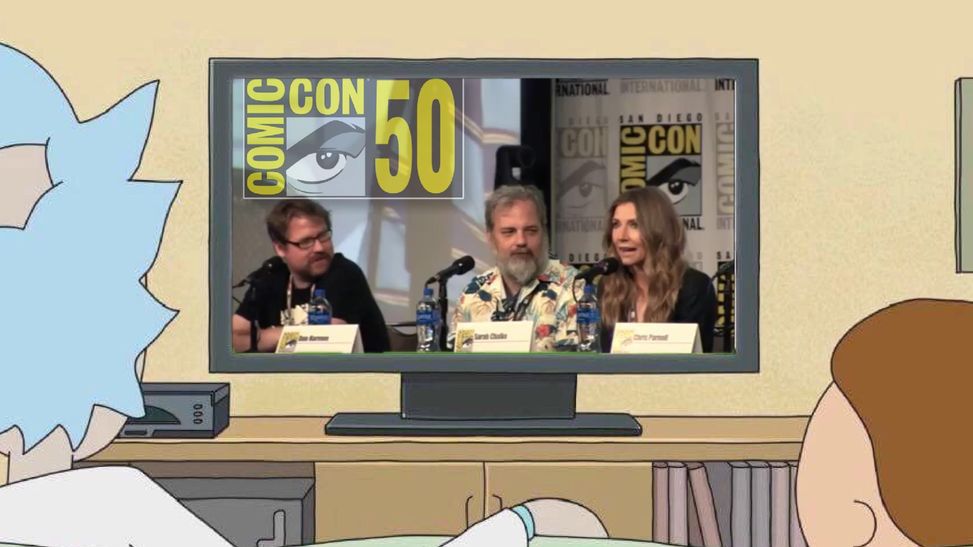 SDCC 19